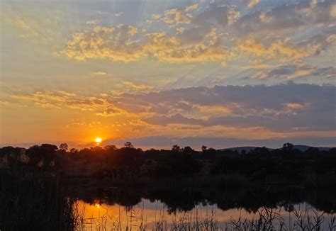 Bushveld Wildlife Safari - South Africa: Nature Travel Africa