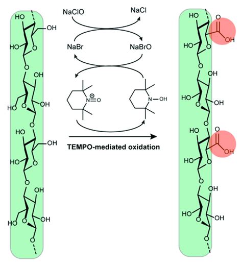 Schematic Illustration Of The Tempo Mediated Oxidation Where It Download Scientific Diagram