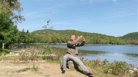 Tai Chi Qigong Shibashi En Position Assise Youtube