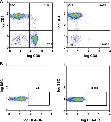 Enrichment of resting CD4 T cells. MLN lymphocytes from a... | Download ...