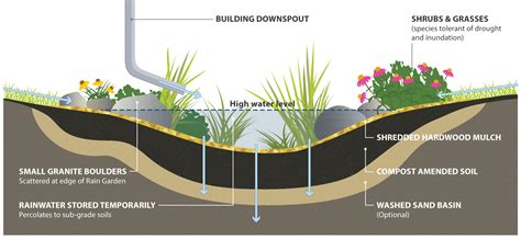 complete guide  building  maintaining  rain garden trca