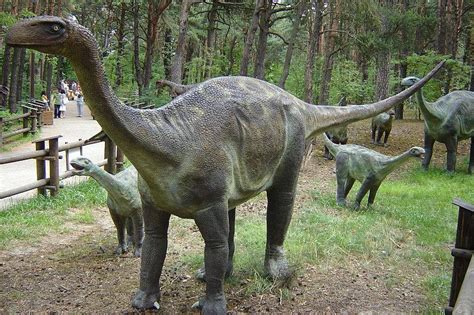 Pictures and Profiles of Sauropod Dinosaurs