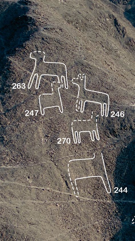 Investigadores Descubren Nuevas Figuras En Laderas De Cerros De Nasca