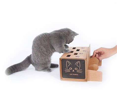 Interactive Cat Toy | Catastic