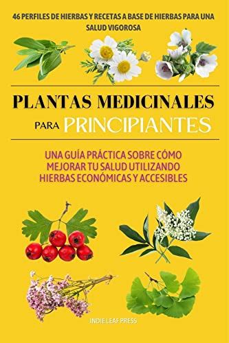 Plantas Medicinales Para Principiantes Una Guía Práctica Sobre Cómo Mejorar Tu Salud Utilizando