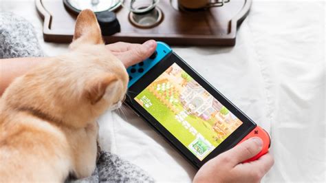 10 Best Switch Games For Young Kids Reviews Of 2024