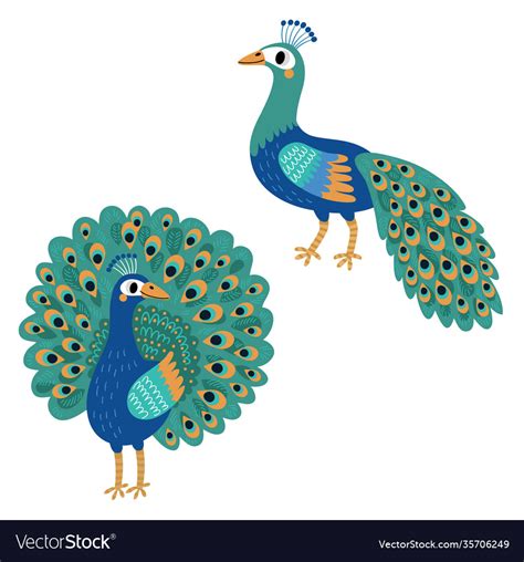 Peacock Bird Royalty Free Vector Image Vectorstock