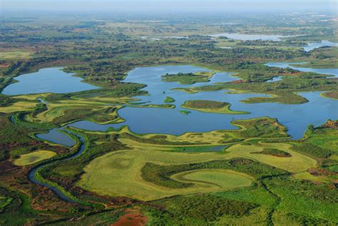 Un Día D Cuidar la reserva de la Biósfera Pantanos de Centla