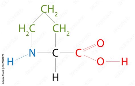 The structure of Proline. Proline is an organic acid classed as a ...