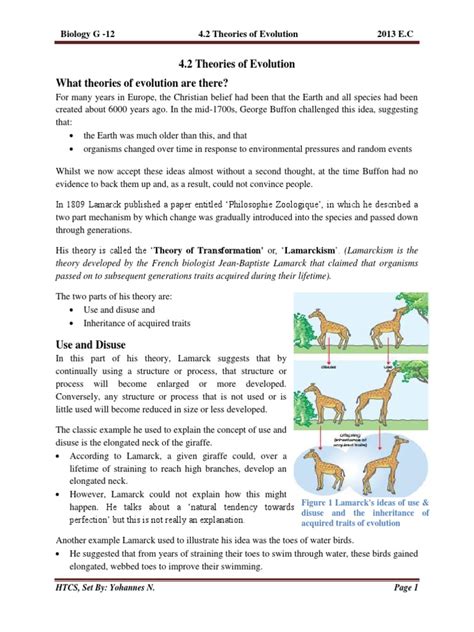 G-12 Biology, 4.2 Theories of Evolution | PDF | Natural Selection ...