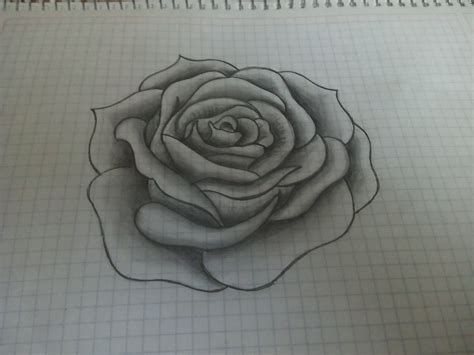 Rosas Dibujos A Lapiz