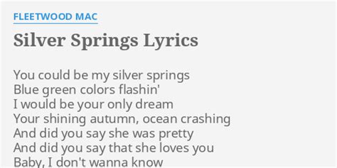 "SILVER SPRINGS" LYRICS by FLEETWOOD MAC: You could be my...