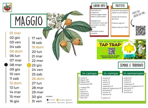 Calendario Lunare Di Maggio Lavori Nell Orto E Semine Artofit