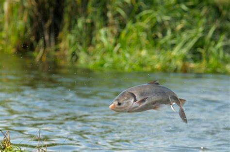 EPA Declares More than Half of US Rivers Unfit for Aquatic Life