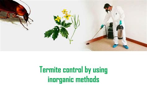 Ppt Effective Methods Of Pest Control Penrith Powerpoint Presentation Id7659677