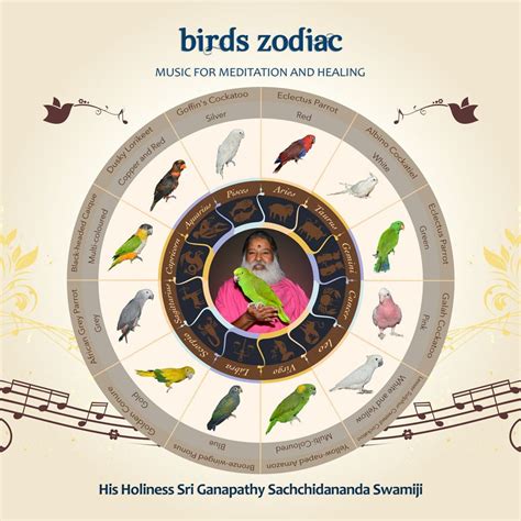 Parrots Of The Zodiac Whats Your Zodiac Parrot Meditation Music