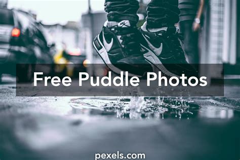 Free stock photos of puddle · Pexels