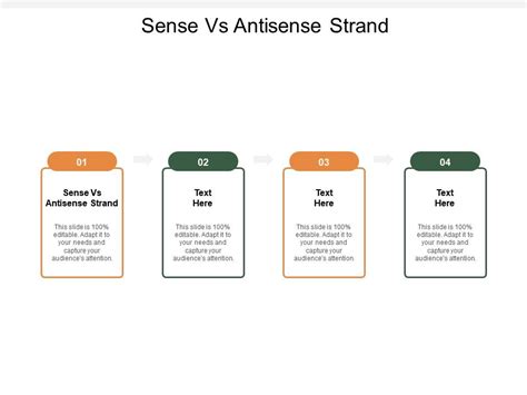 Sense Vs Antisense Strand Ppt Powerpoint Presentation Outline Files Cpb ...