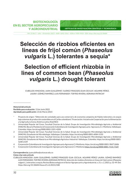 Pdf Selecci N De Rizobios Eficientes En L Neas De Frijol N