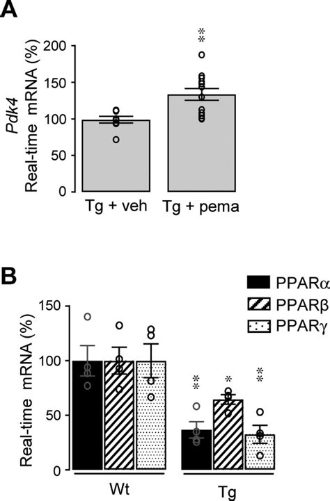 Sex Regulated Gene Dosage Effect Of Pparα On Synaptic Plasticity Life