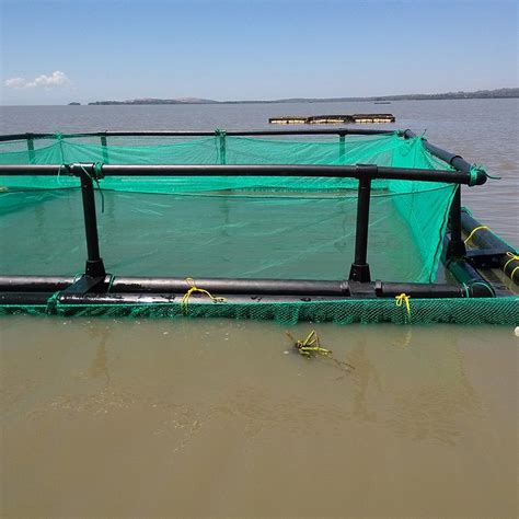 Hdpe Frame Pipes Floating Fish Net Cage For Aquaculture China Fish