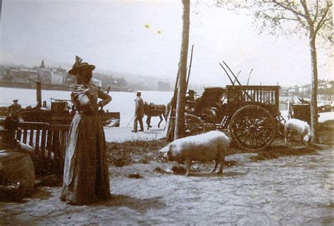 Neuville Sur Sa Ne La Foire Du Er Mai De Aujourd Hui