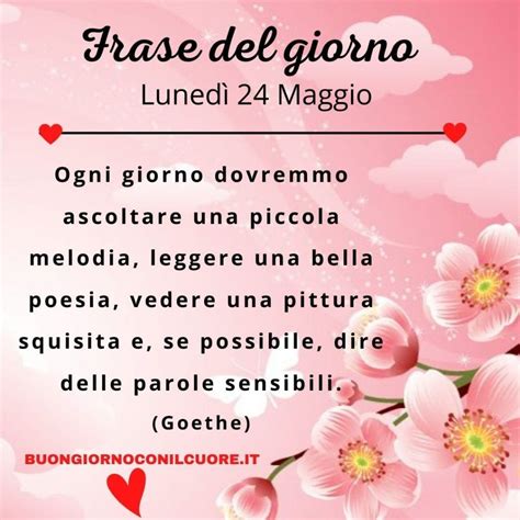 Frase del giorno Lunedì 31 Maggio 2021 La frase di oggi