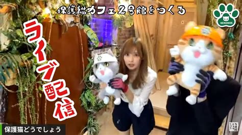 【ライブ】保護猫どうでしょう！保護猫カフェ2号館をつくる！工事風景ライブ配信！ Youtube