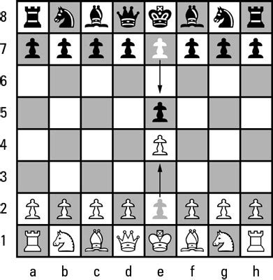 Understanding Chess Notation - dummies