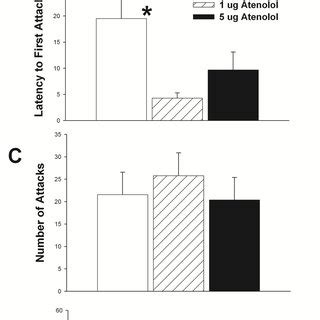 Effects of β adrenergic receptor antagonist propranolol on maternal