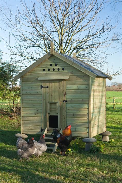 Flyte So Fancy: Hen Houses for Larger Flocks