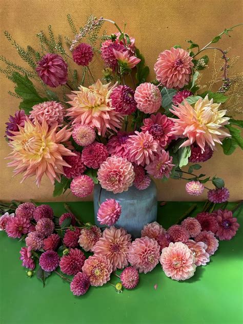 CONTACT | Get in Touch Today — GOLDENROD GARDENS