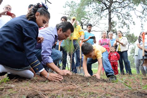 Zapopan Inicia Campaña De Reforestación En El Bosque La Primavera