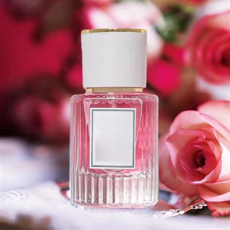 Zmzmskgsi Perfumes for Women,Lasting Fragrance, Lasting Eau De Toilette ...