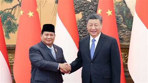 Le Pr Sident Xi Jinping S Entretient Avec Le Pr Sident Lu Indon Sien