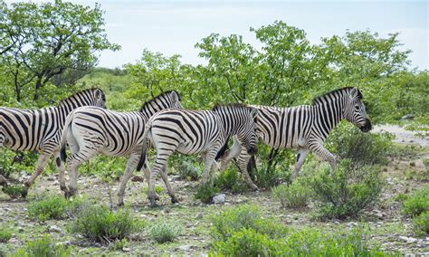 Namibia Travel Tips: 9 Things to Know Before Traveling in Namibia