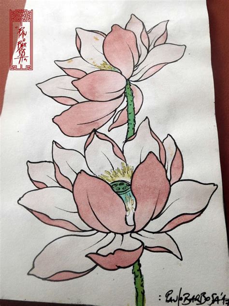 Lotus Flower Drawing By Paulo Barbosa