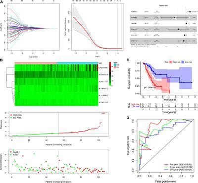 Frontiers A Novel Autophagy Related IncRNAs Signature For Prognostic