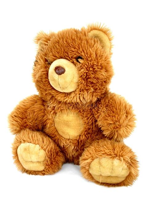 Urso De Peluche Dourado Imagem De Stock Imagem De Pelaria