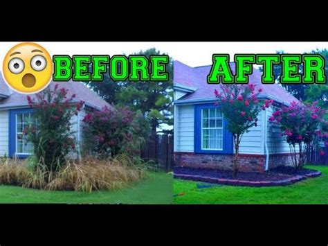 CRAZY CLEAN UP – Landscaping before and after – How to clear Overgrown ...