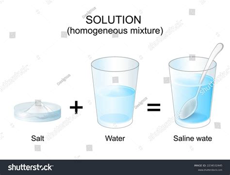 Solutions Homogeneous Mixture Experiment Salt Water Stock Vector ...