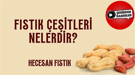 HECESAN FISTIK EUROSTAR TV Şehirden Haberler YouTube