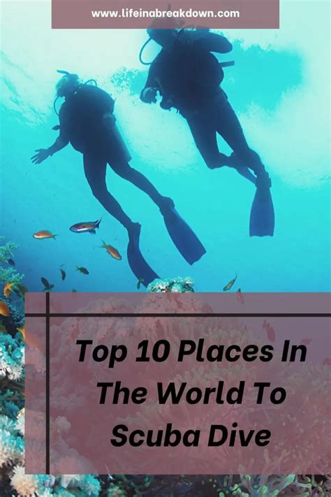 top  places   world  scuba dive life   break