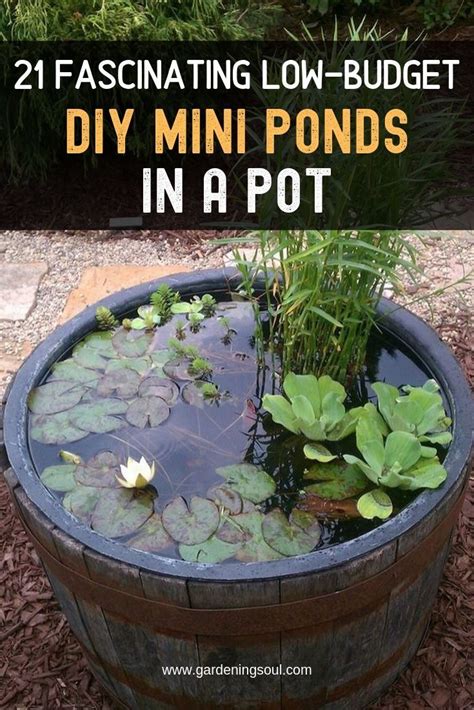 Fascinating Low Budget Diy Mini Ponds In A Pot Garden Design Water