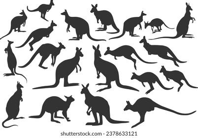 Kangaroo Silhouette Vector Illustration Collectionkangaroo Clipart ...