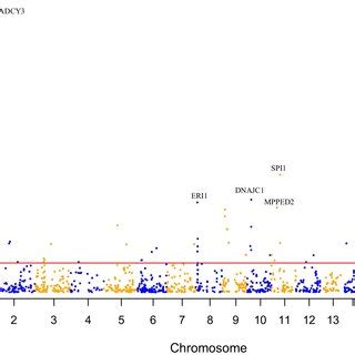 Genome Wide Distribution Of The Identified Bmi Associated M A Snps