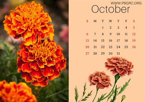 17 Cute 2024 Floral Calendar Printable Templates