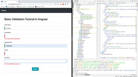 Angular 10 - Form Validation - Learn Angular