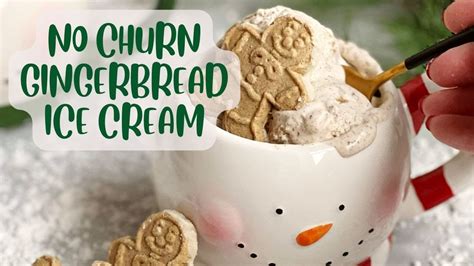 How To Make No Churn Gingerbread Ice Cream Youtube