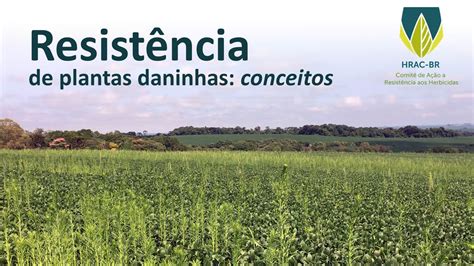 Resist Ncia De Plantas Daninhas Conceitos Youtube